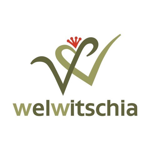 WELWITSCHIA LOGO