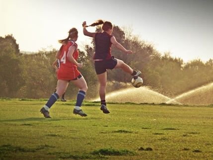 Sport Sport