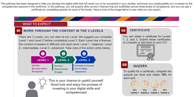 Digital Skills and Competencies