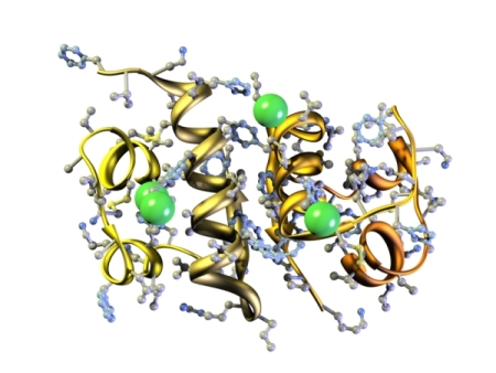 Advanced Biomolecular Research 6 Description: Advanced Biomolecular Research Keywords: Advanced Biomolecular Research, Advanced, Biomolecular, Research,