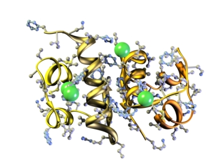 Description: Advanced Biomolecular Research Keywords: Advanced Biomolecular Research, Advanced, Biomolecular, Research,