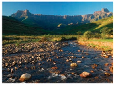 Conservation and sustainable Conservation and sustainable