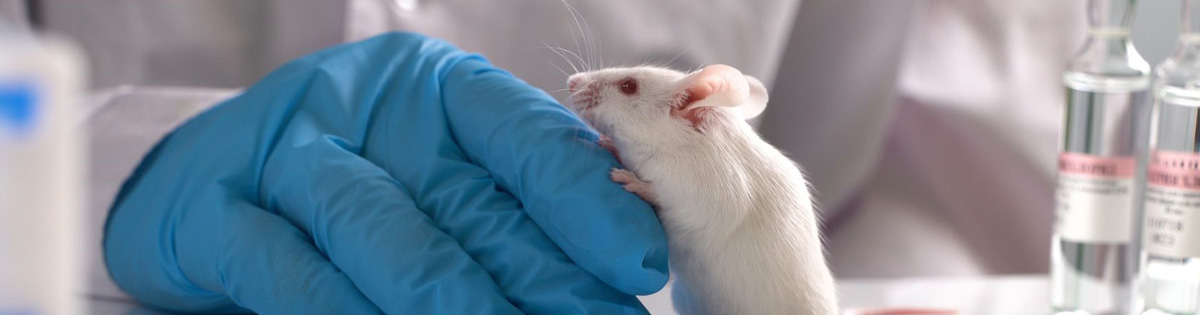 Animal research