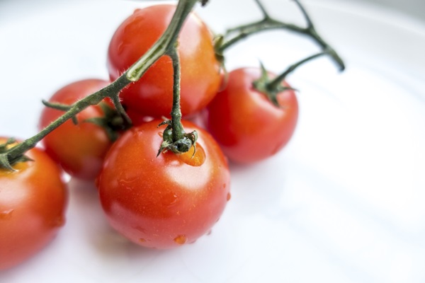 image-from-rawpixel-id-449324-jpeg image-from-rawpixel-id-449324-jpeg