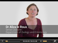 Dr Aliza le Roux introduction: video