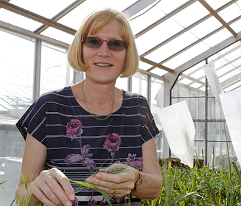 Prof Maryke  Labuschagne