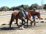 Description: Therapeutic horse-riding Tags: therapeutic horse-riding, differently abled, service learning, Equistria, Psychology