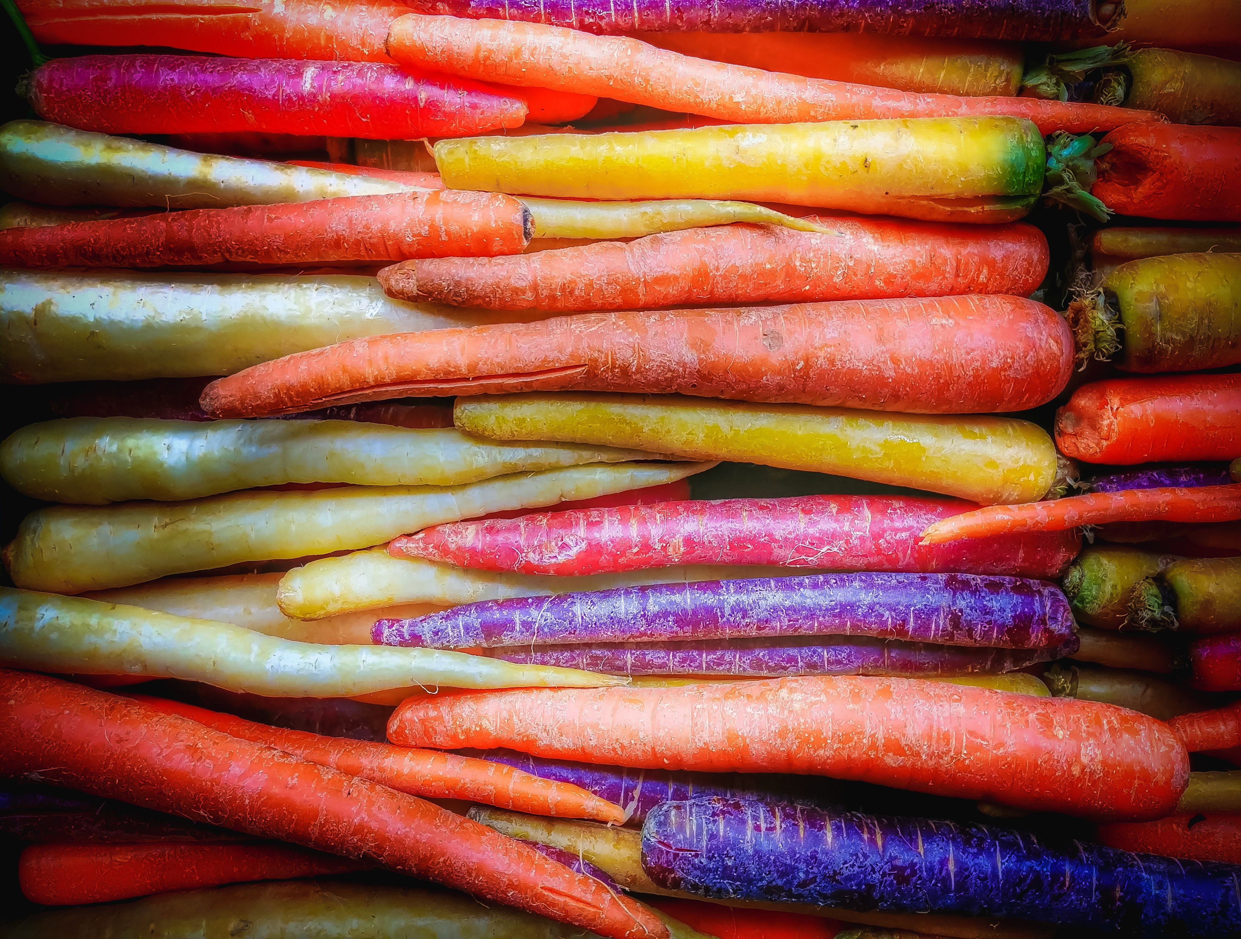 15 April Fun Facts About Carrots (1)