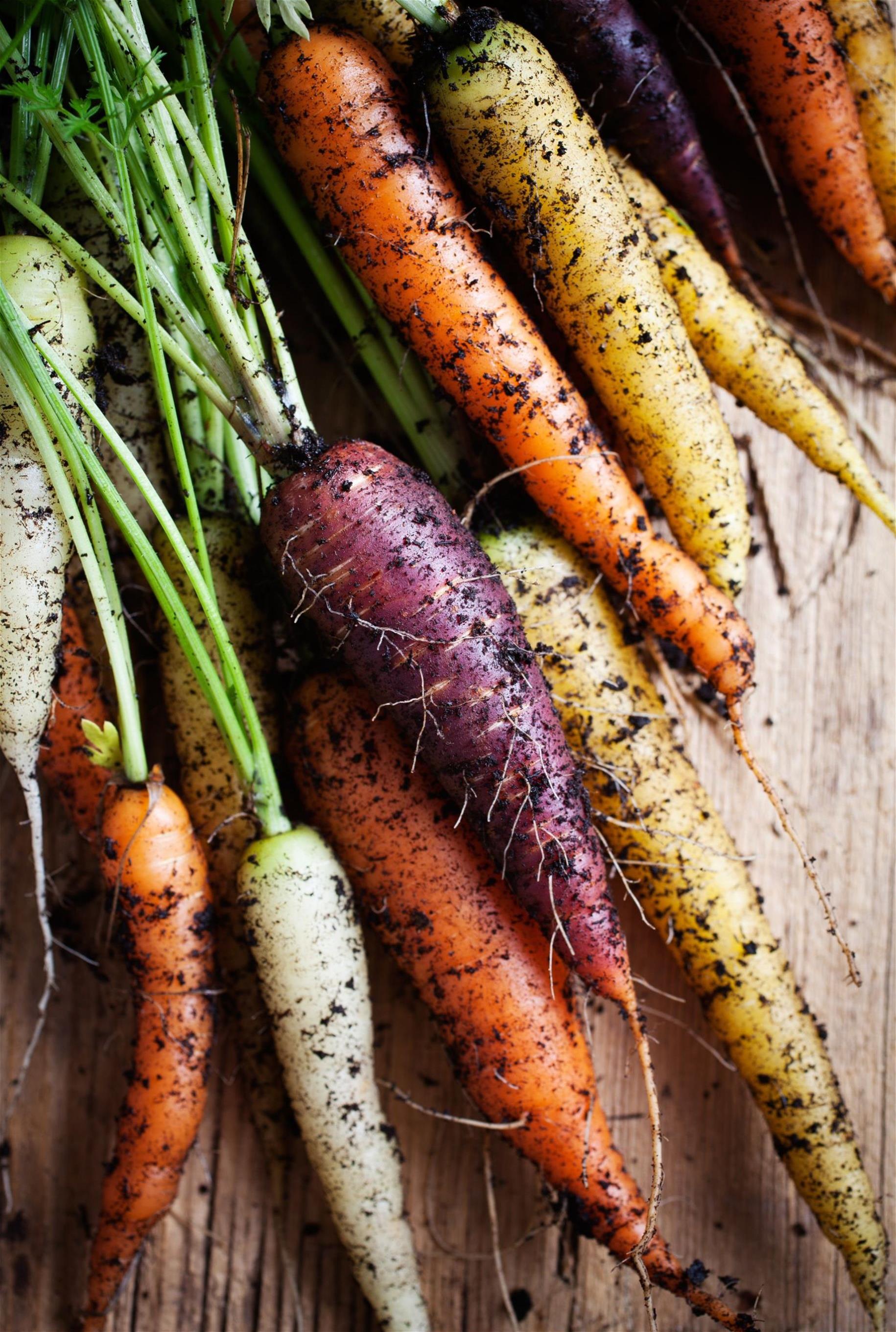 15 April Fun Facts About Carrots (4)