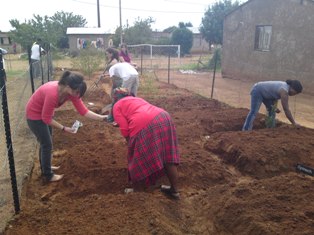 Description:Food gardens at Tlhokomelong Community-based Care and Support Service,Phase 3,rural area close to Bloemfontein Tags:Tlhokomelong,Community-Based,Care and Support Centre,Phase 3,food gardens,third-year medical students, elderly