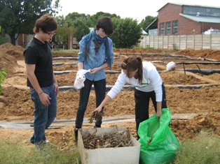1543 Description: Earthworm and food garden project at Free State Care in Action Tags: earthworm, food garden, Free State Care in Action, MEX354, third year medical students