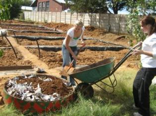 1545 Description: Earthworm and food garden project at Free State Care in Action Tags: earthworms, food garden, Free State Care in Action, MEX354, thrid year medical students, service learning