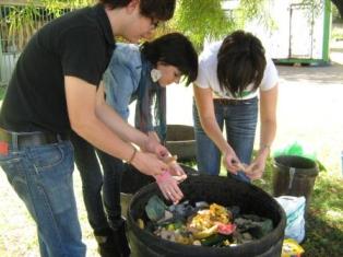 Description: Earthworm and food garden project at Free State Care in Action Tags: earthworms, food garden, Free State Care in Action, MEX354, service learning