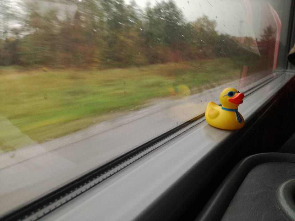Travelling duck