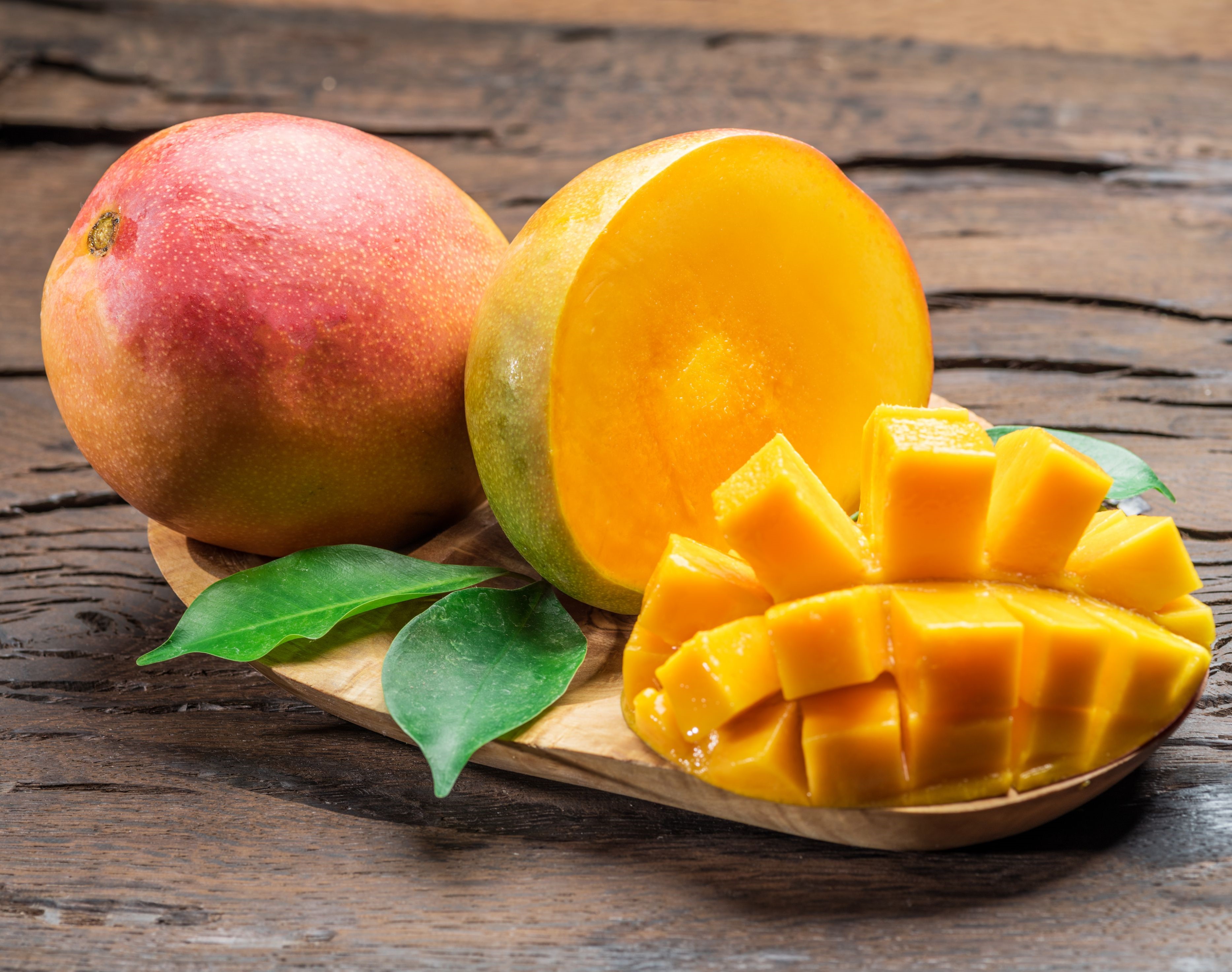 8 April Mango Sorbet (3)
