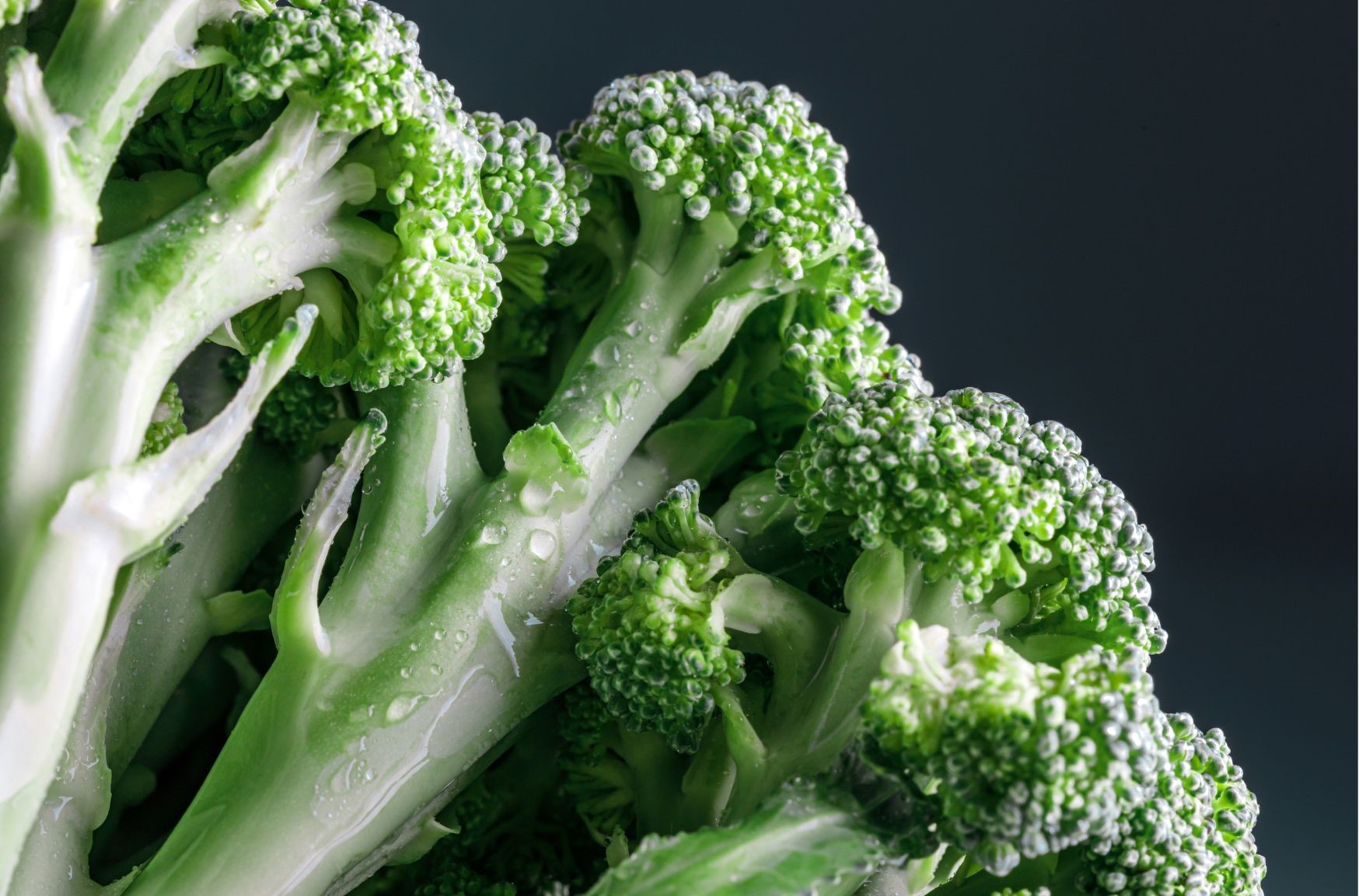 Brocolli