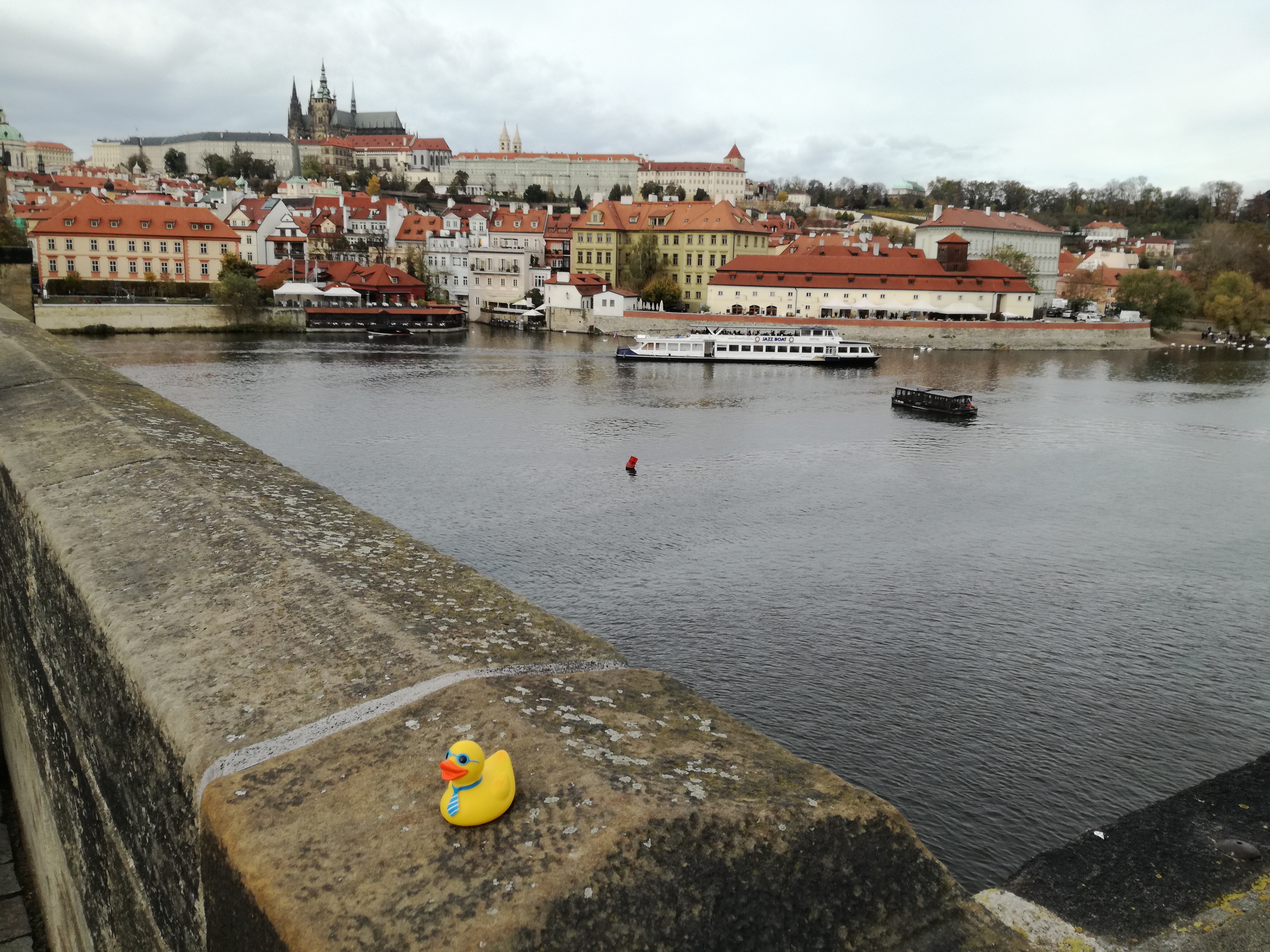 Traveling duck