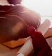 PhD_web-read-more