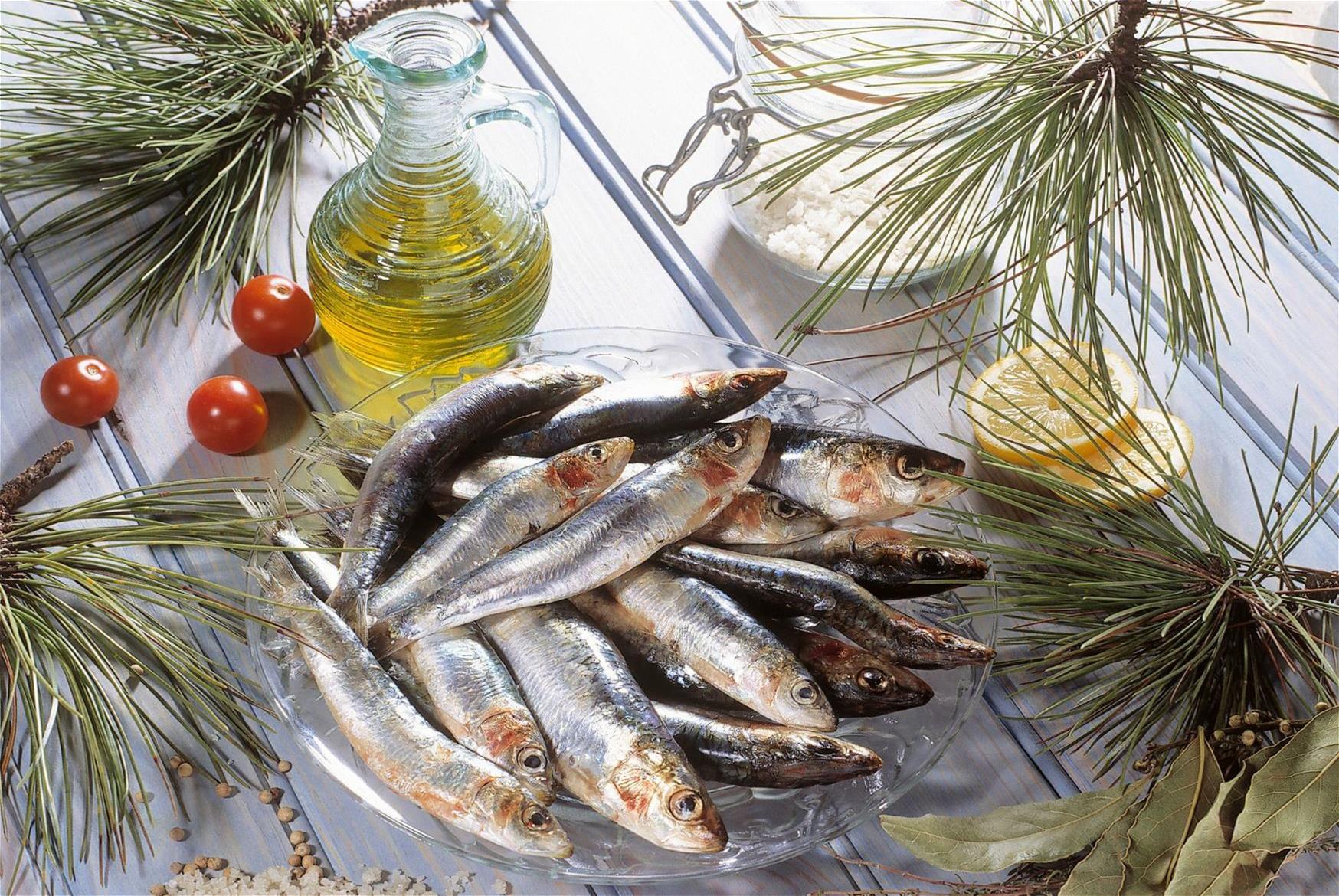 pilchards