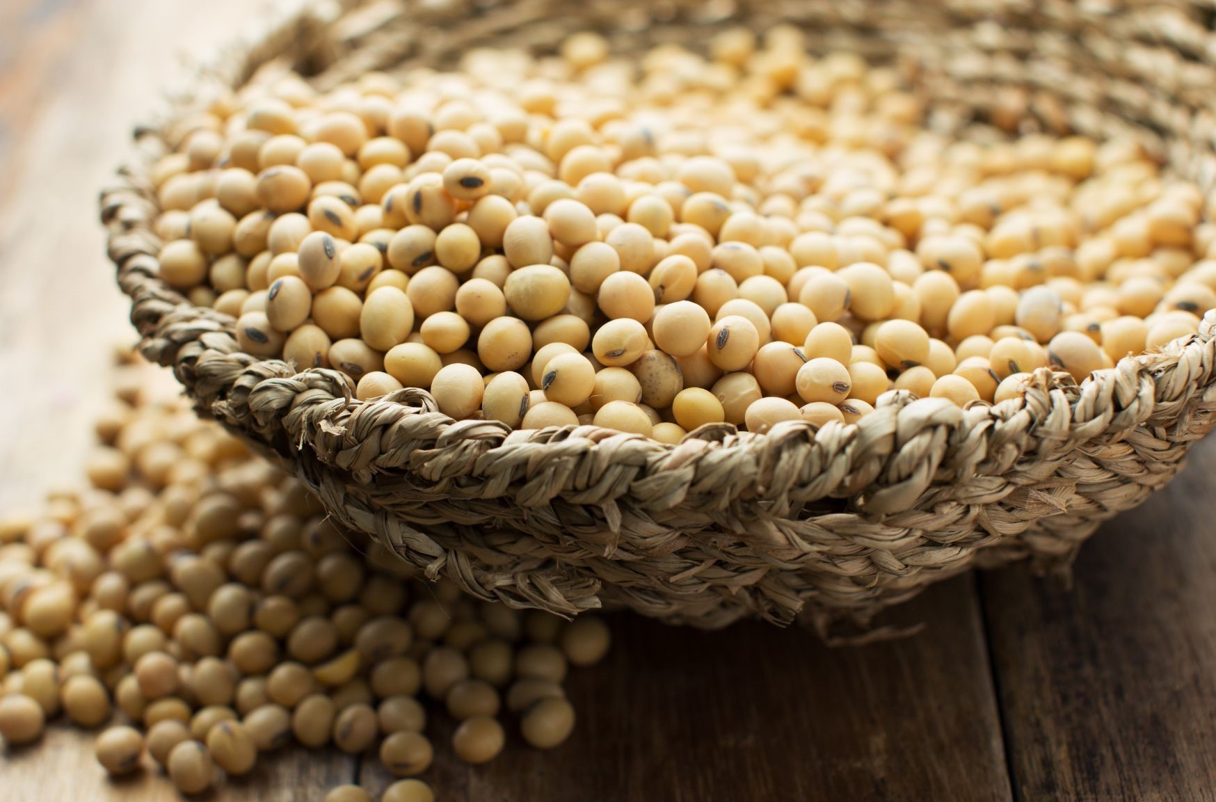 Soya, protein powerhouse (6)
