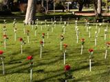 Description: To create awareness on health-related issues and encourage staff and students to show compassion to those around them a rose memorial was held in the gardens in front of the main building. Tags: Rose Memorial, Rose, Memorial, Month of compassion