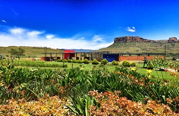 Qwaqwa campus button