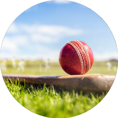 cricket