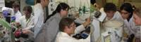 Description: Annual Conference of the Catalysis Society of South Africa (CATSA2010) Keywords: chemistry, lab, laboratory