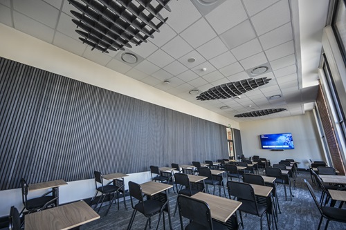 Frik Scott Library Multifunctional Room