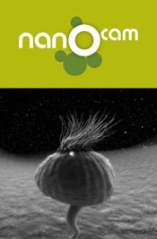 Nanocam