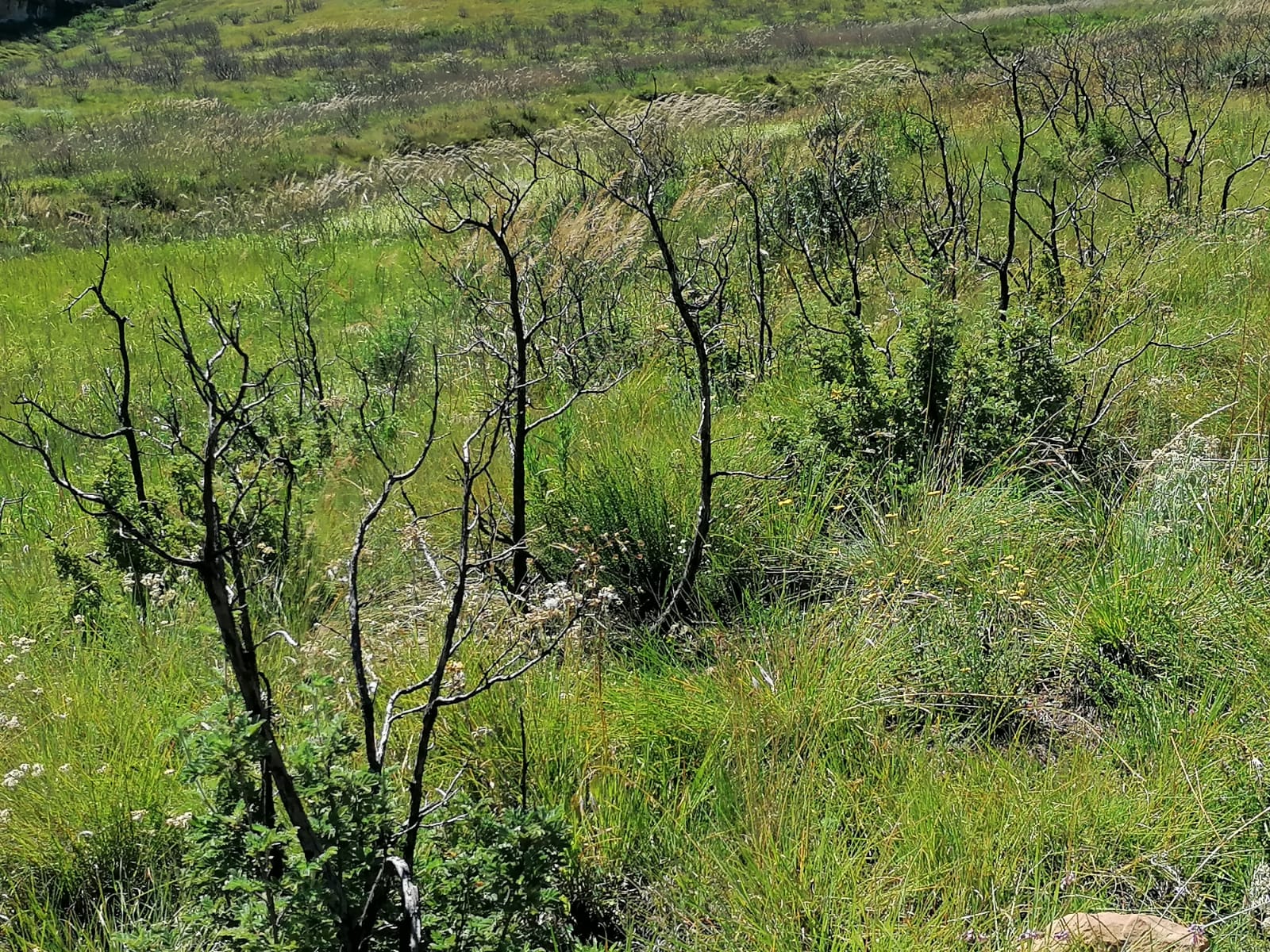 2021-10-06 at10.56.09