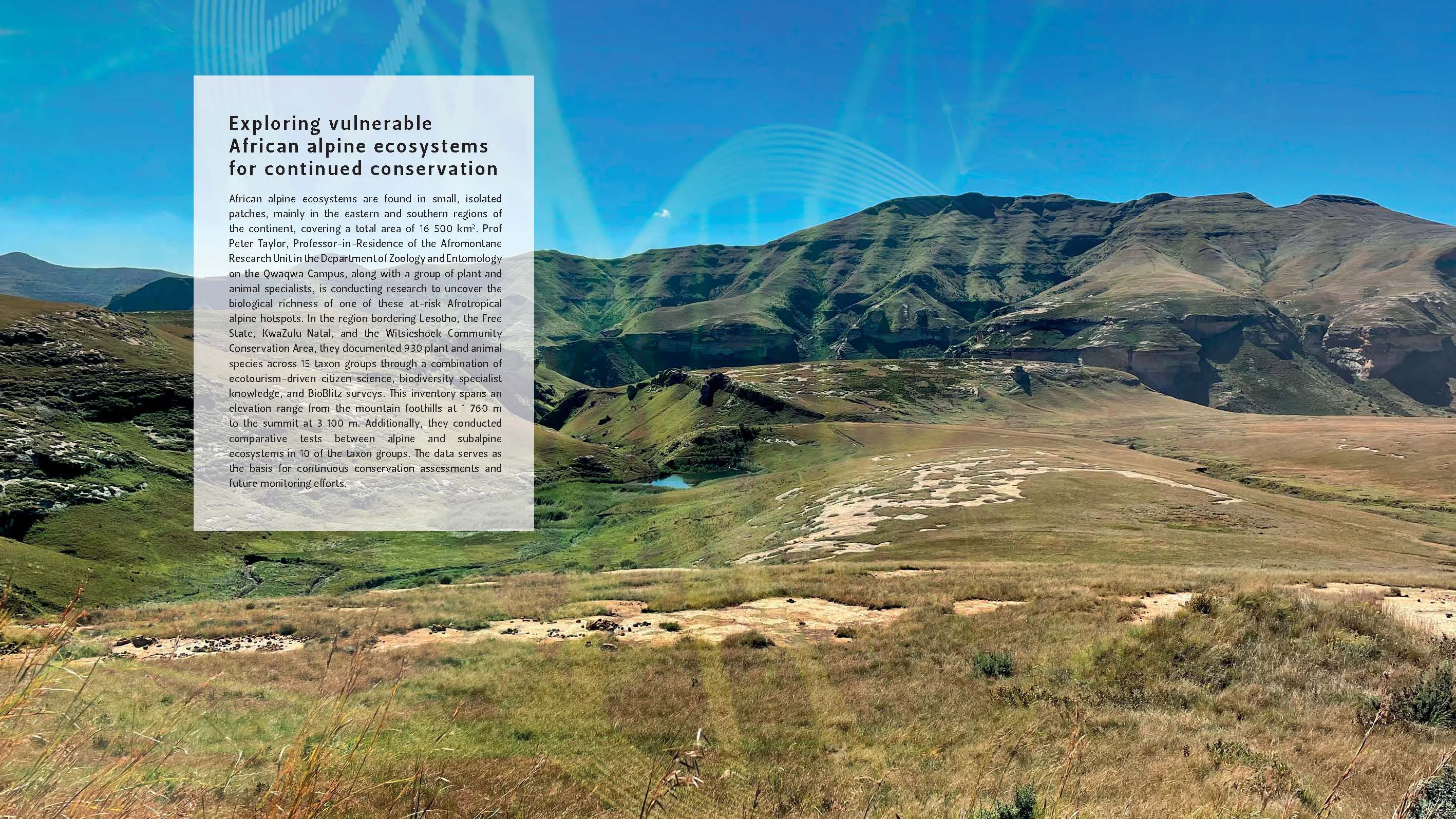 Bult 2023 African Alpine Ecosystem (spread)[3]
