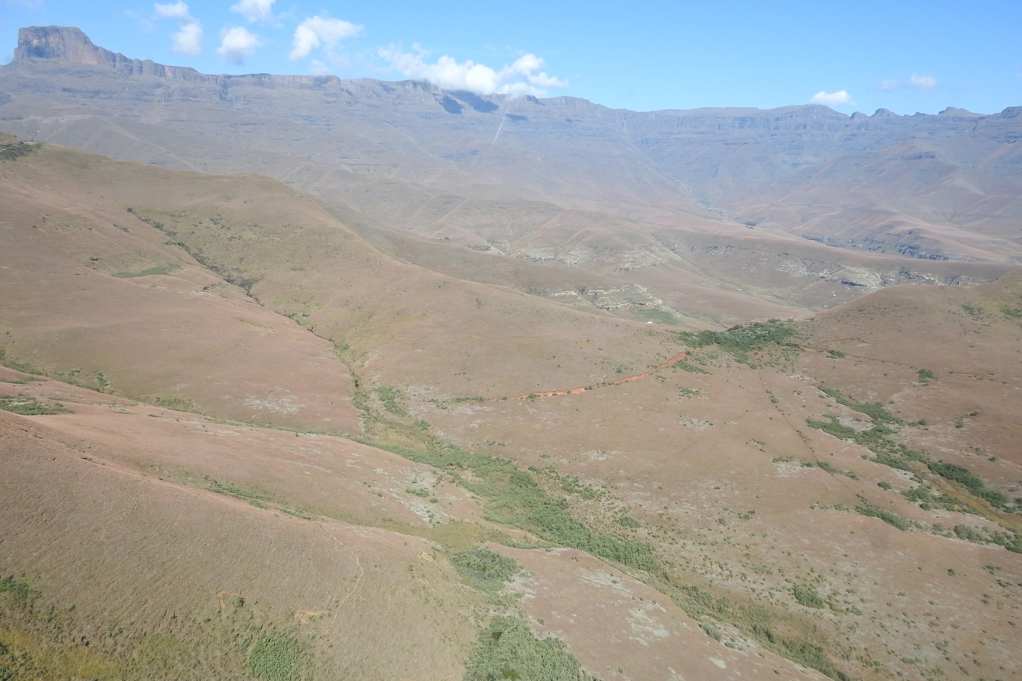 Current and past research DSCN8506 copy