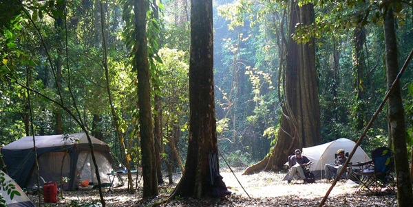 mabu-forest-camp-header