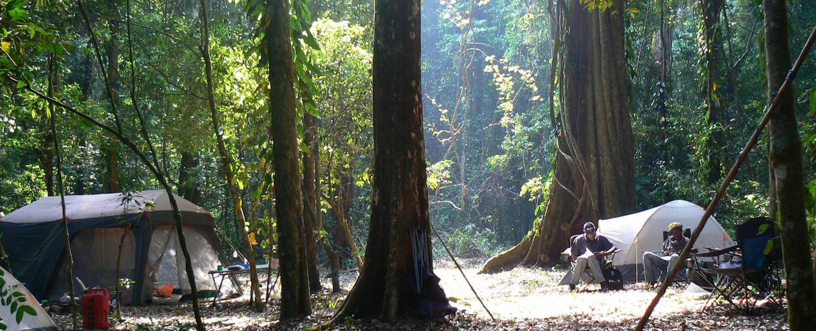 mabu-forest-camp