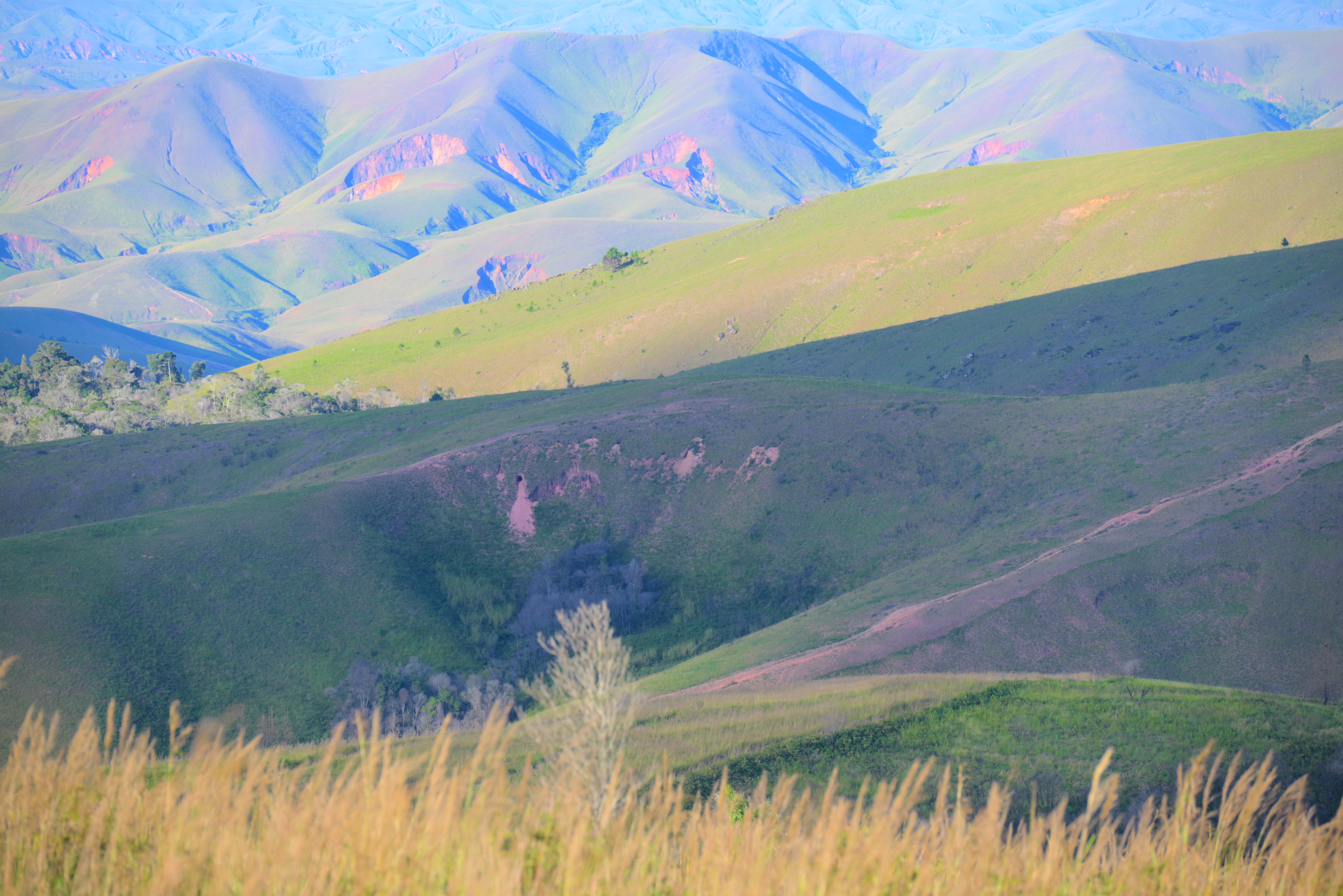 Malagasy mountains (4)
