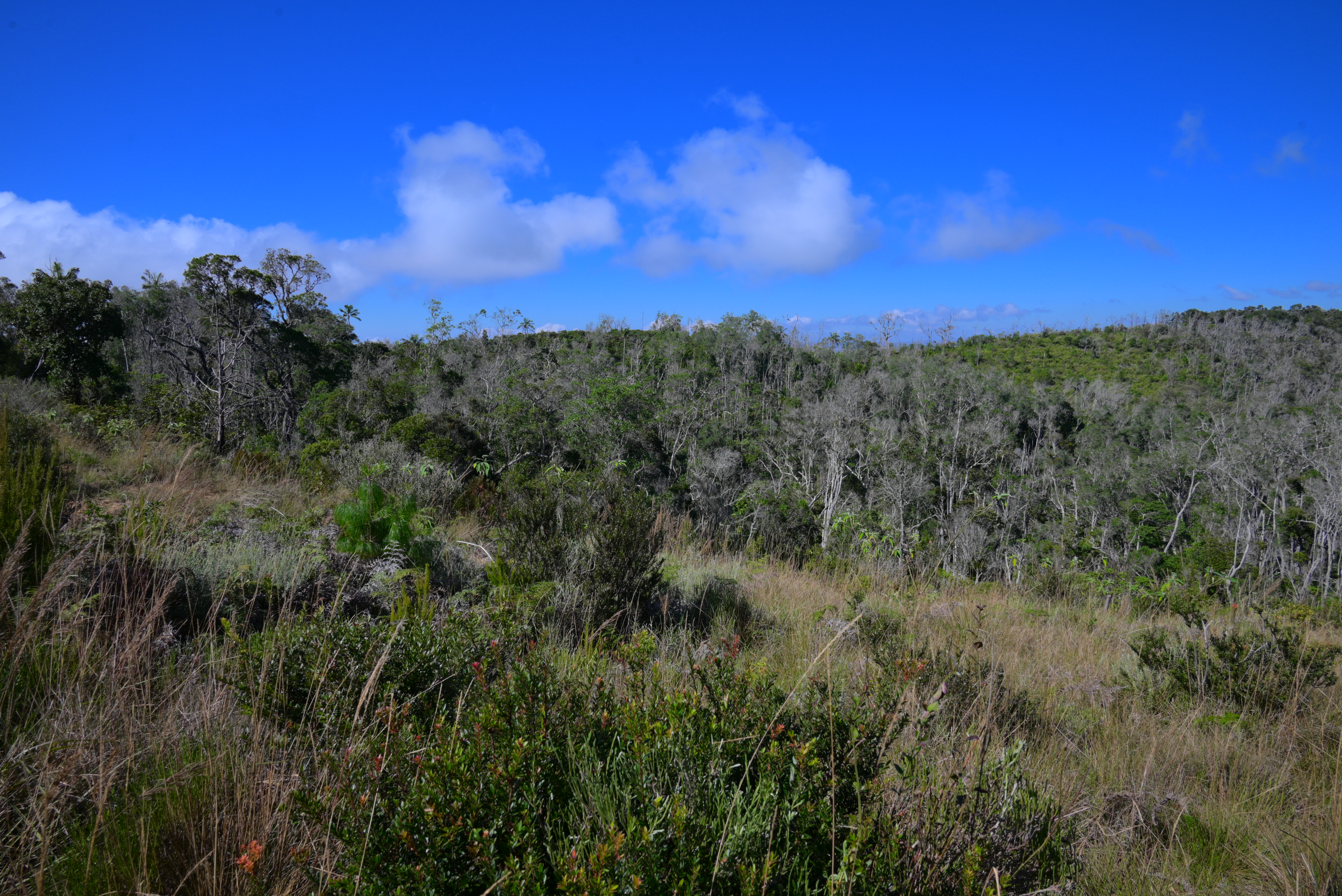 Malagasy mountains (6)