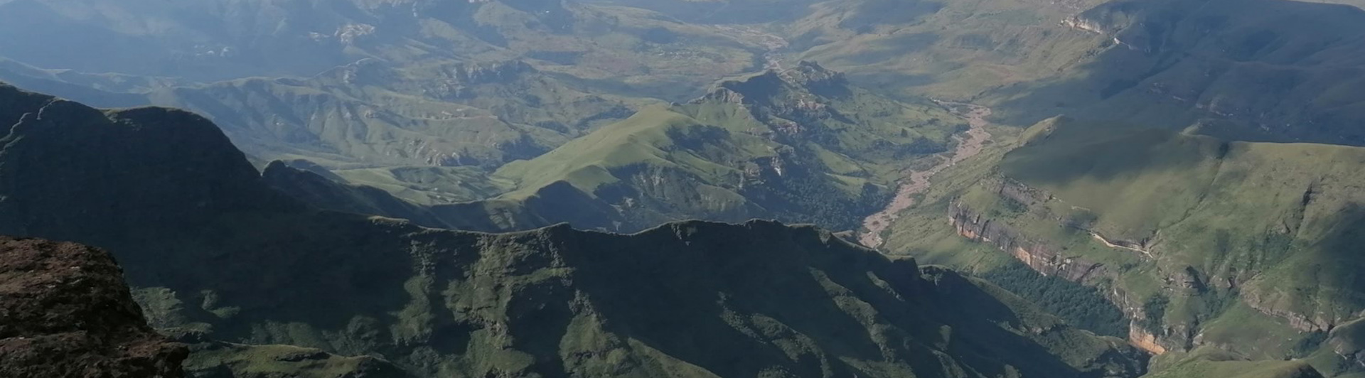 MAS