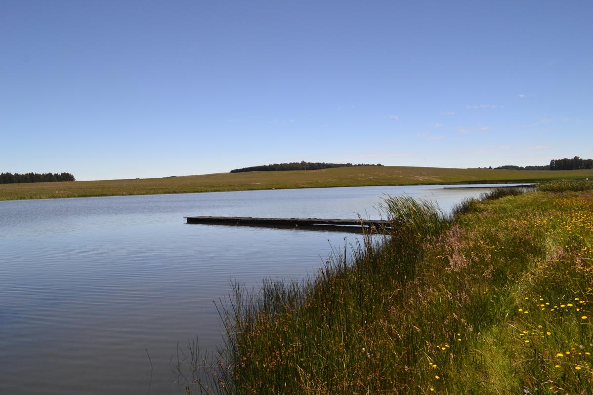 Middelpunt wetland, Mpumalanga