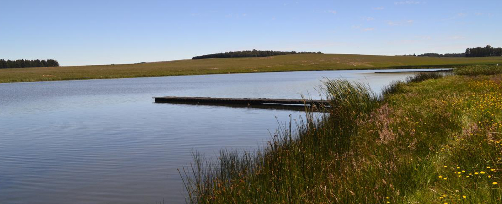 Middelpunt wetland