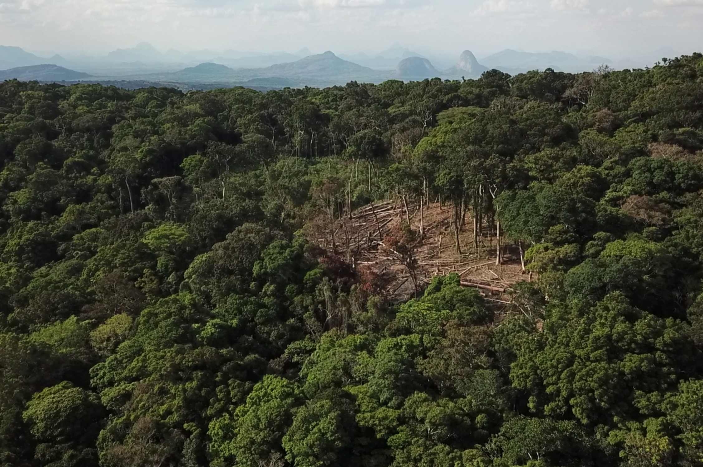 Prof Julian Bayliss (1