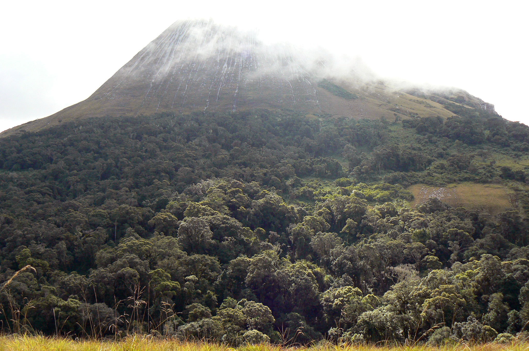 Prof Julian Bayliss (11)