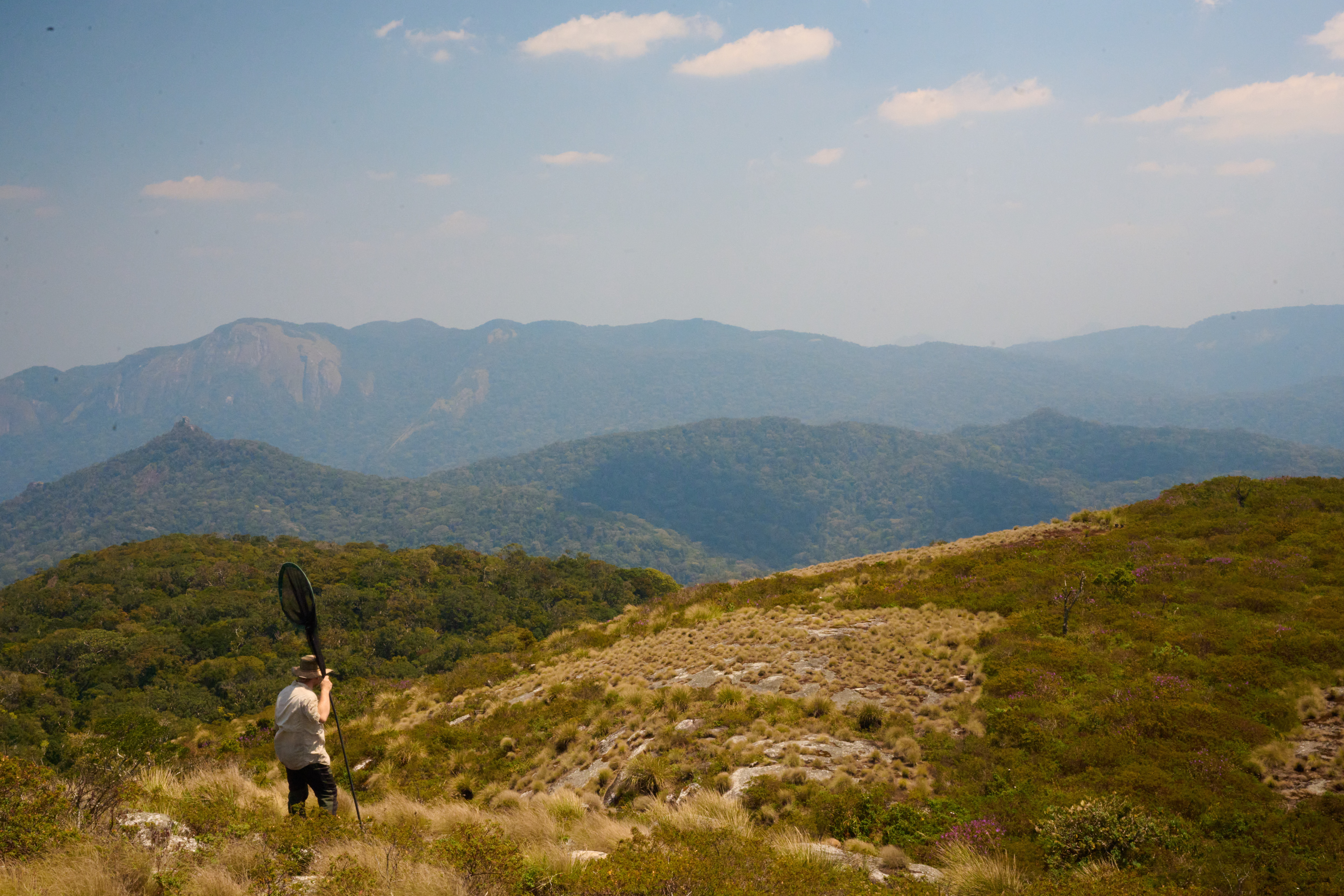 Prof Julian Bayliss (4)