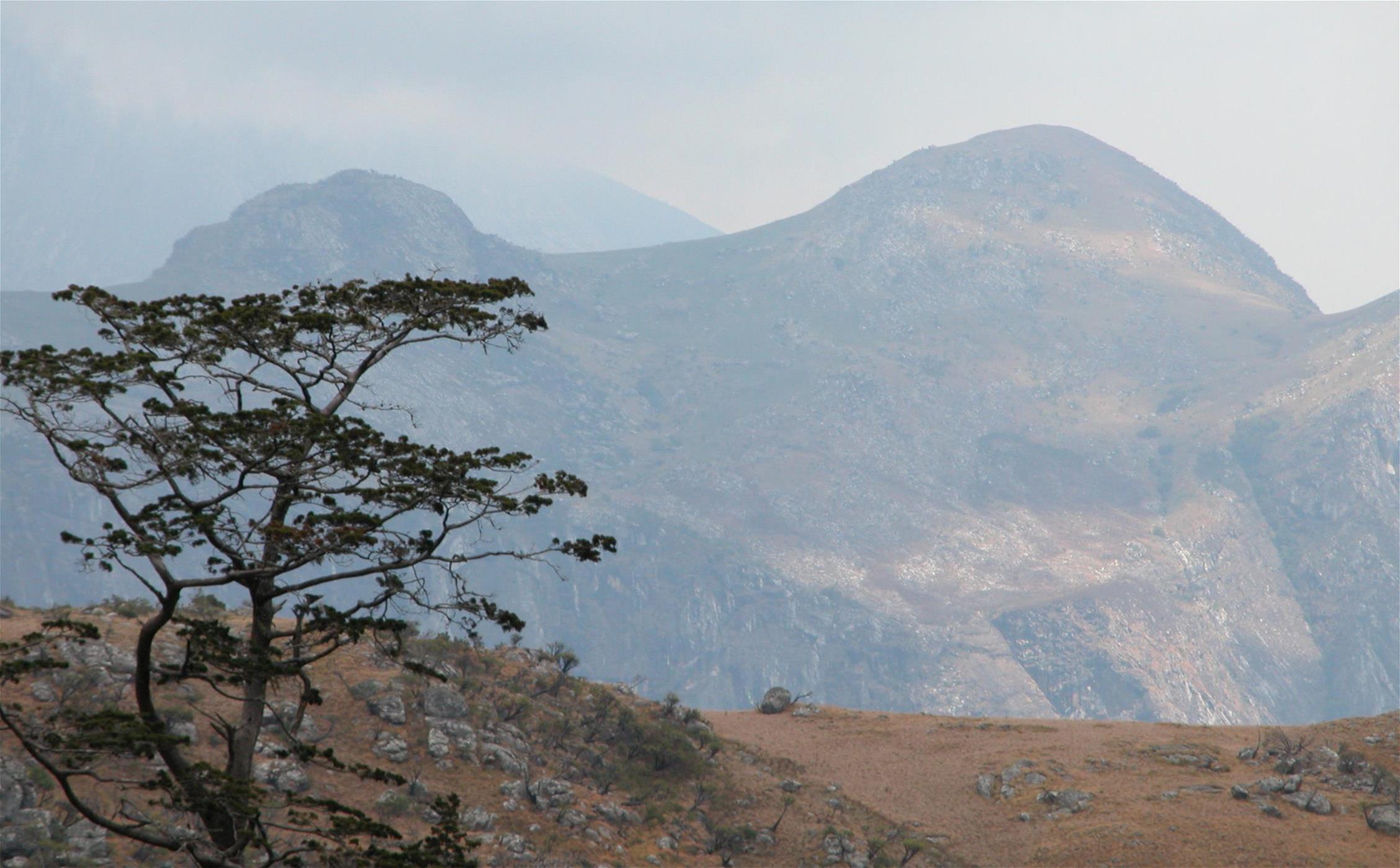 Prof Julian Bayliss (5