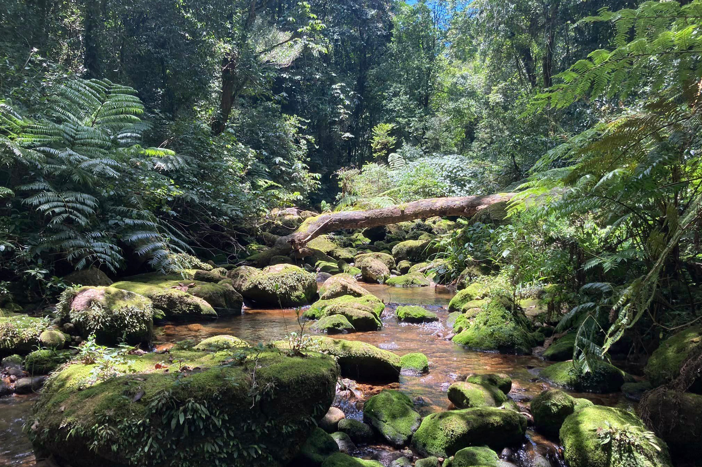 Prof Julian Bayliss (8