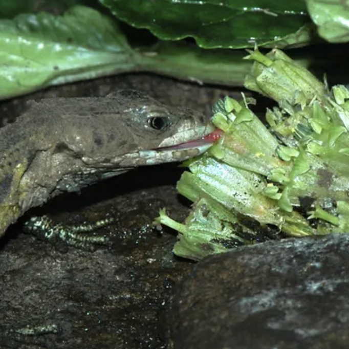 Screenshot 2023-01-23 at 12.57.23