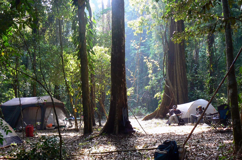The main forest camp at Mt Mabu_JB
