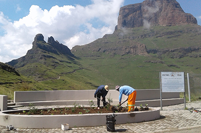 Landscaping Witsieshoek