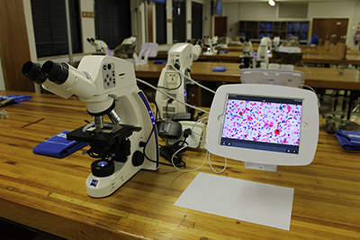 Sensory lab equipment