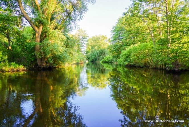 Danube Delta 2